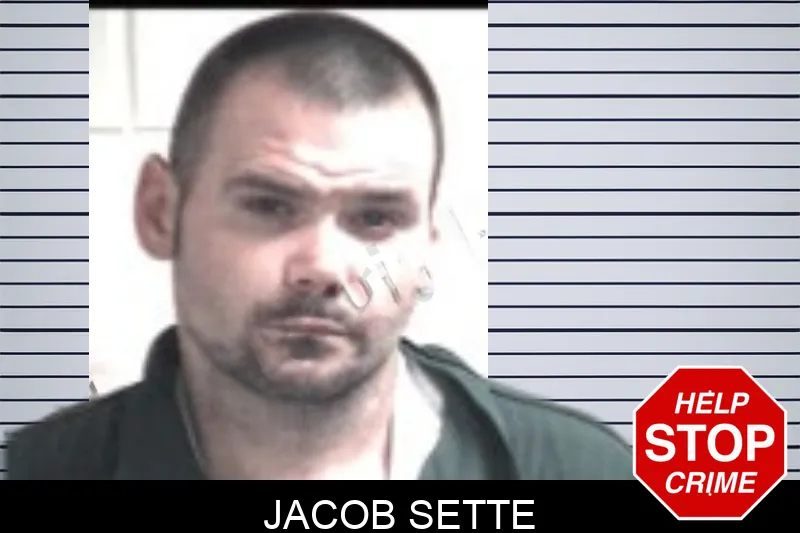 Jacob Sette mugshot – Henry County , Georgia Jacob Sette mugshot