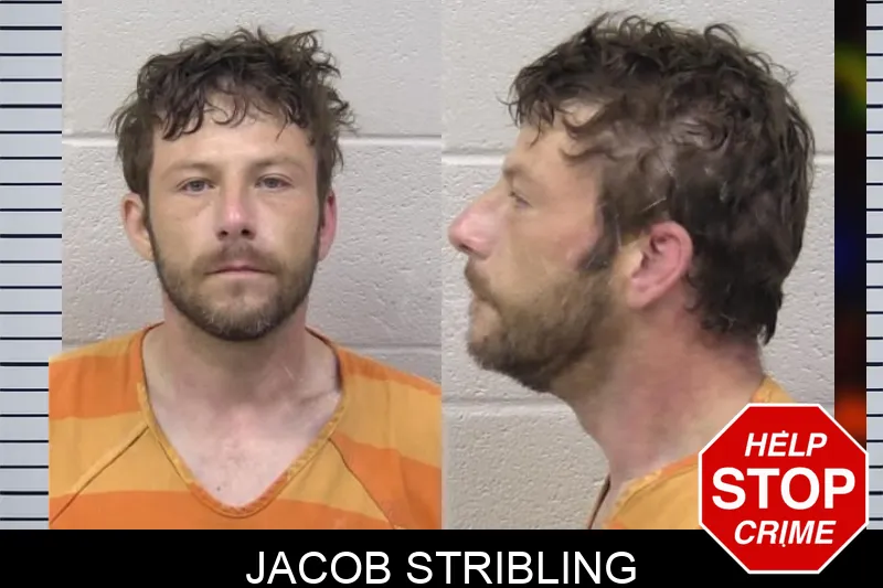 Jacob Stribling mugshot