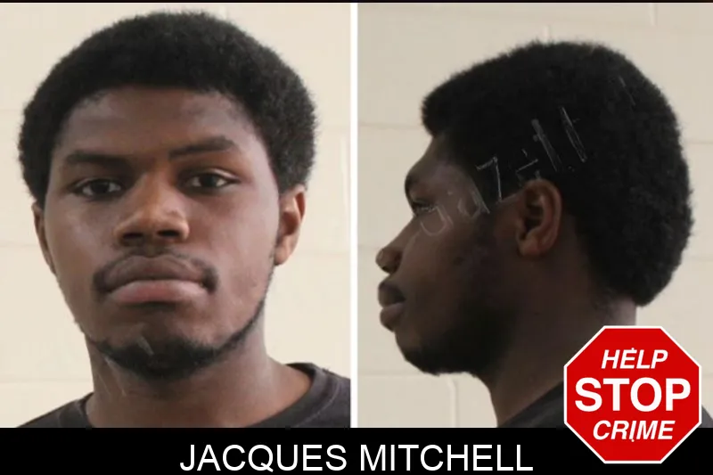 Jacques Mitchell Mugshots
