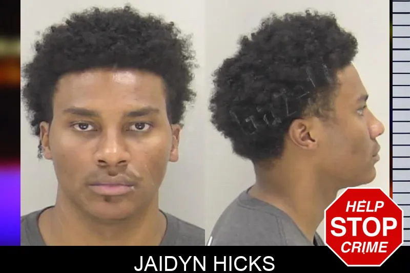 Jaidyn Hicks Mugshots
