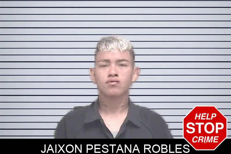 Jaixon Pestana Robles Mugshots