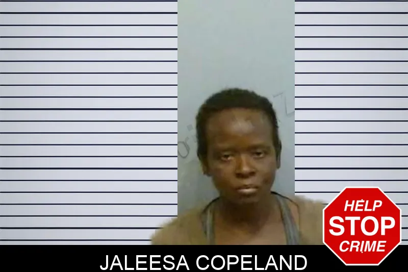 Jaleesa Copeland mugshot – Fulton County , Georgia Jaleesa Copeland mugshot