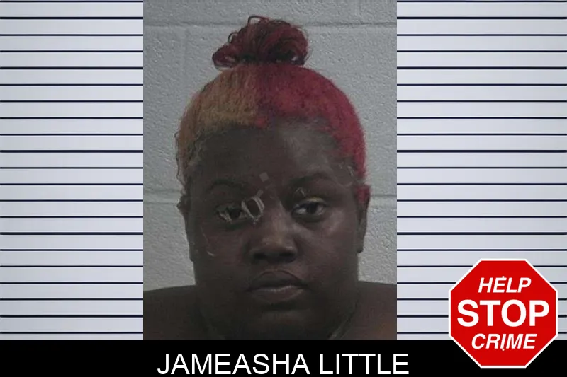Jameasha Little Mugshots