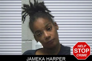 Jameka Harper mugshot