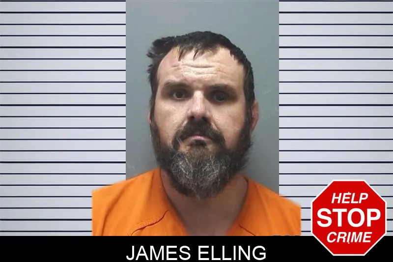 James Elling Mugshots