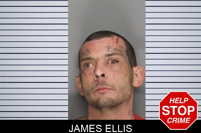James Ellis Mugshots