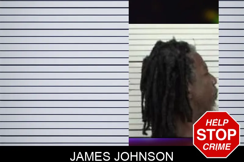 James Johnson Mugshots