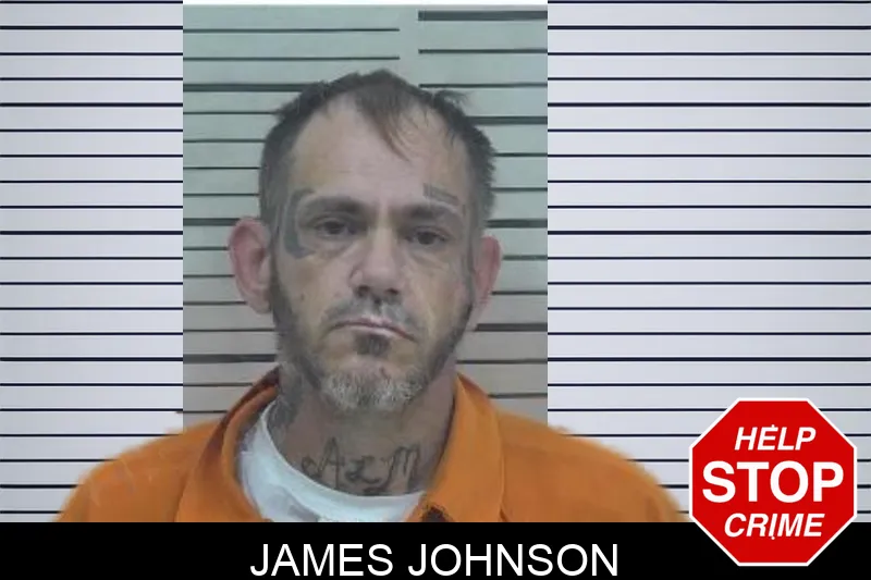 James Johnson Mugshots