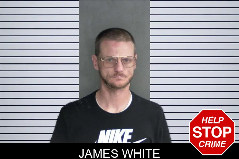 James White