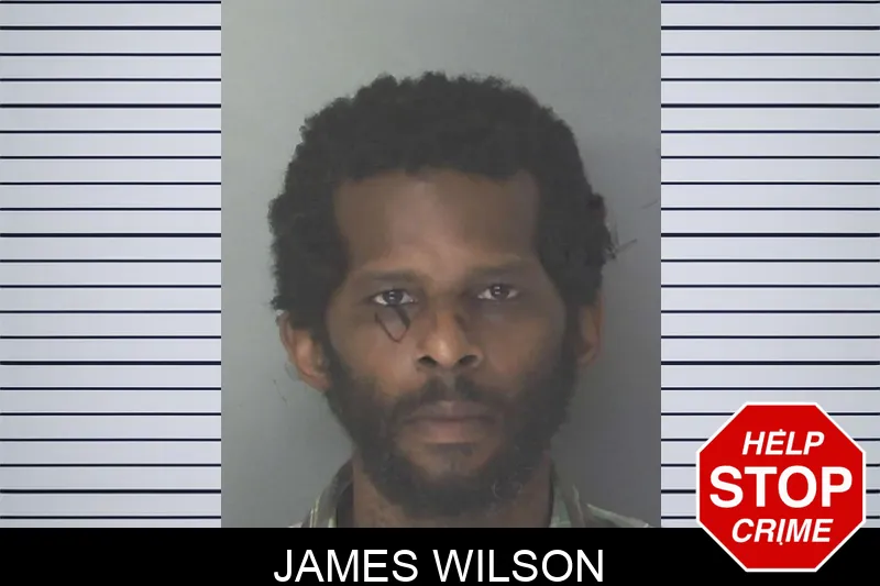 James Wilson Mugshots