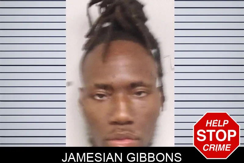 Jamesian Gibbons Mugshots
