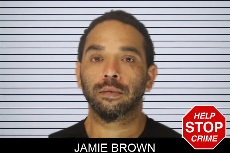 Jamie Brown Mugshots