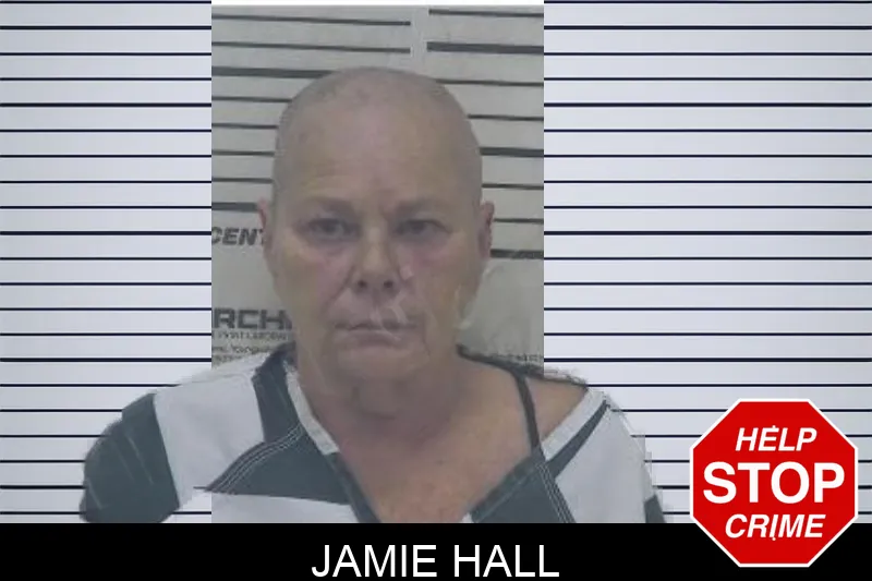 Jamie Hall Mugshots