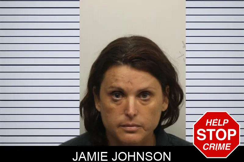 Jamie Johnson Mugshots
