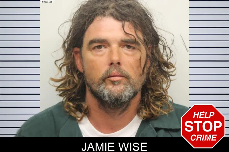 Jamie Wise Mugshots