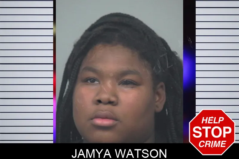 Jamya Watson mugshot – Gwinnett County , Georgia Jamya Watson mugshot