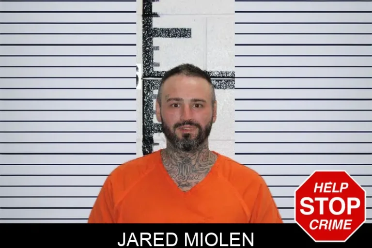Jared Miolen