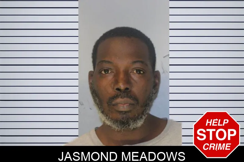 Jasmond Meadows mugshot