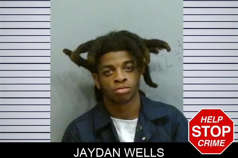 Jaydan Wells mugshot