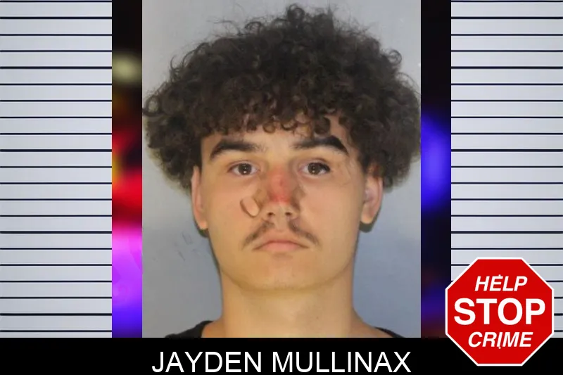 Jayden Mullinax mugshot – Hall County , Georgia Jayden Mullinax mugshot