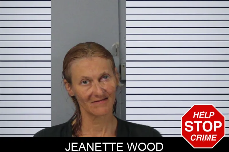 Jeanette Wood Mugshots
