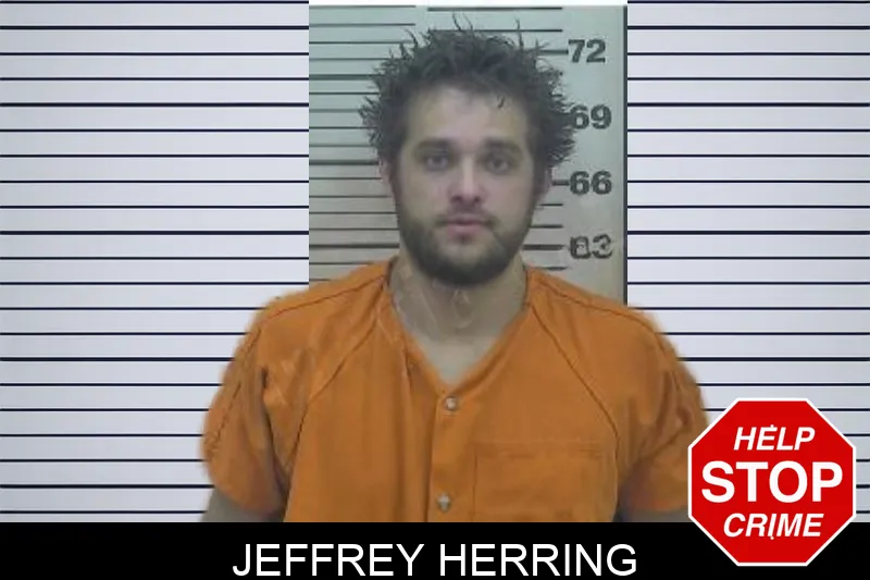 Jeffrey Herring