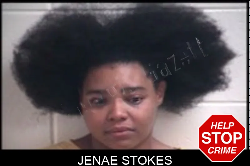 Jenae Stokes Mugshots