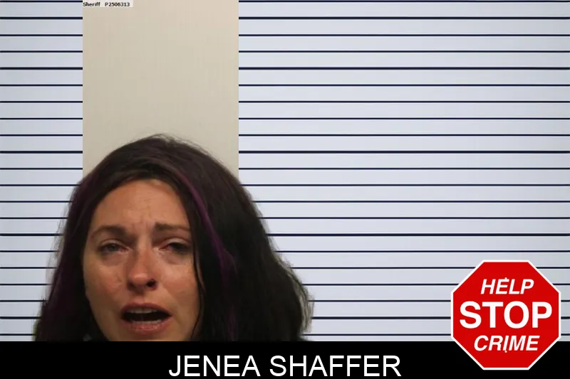 Jenea Shaffer Mugshots