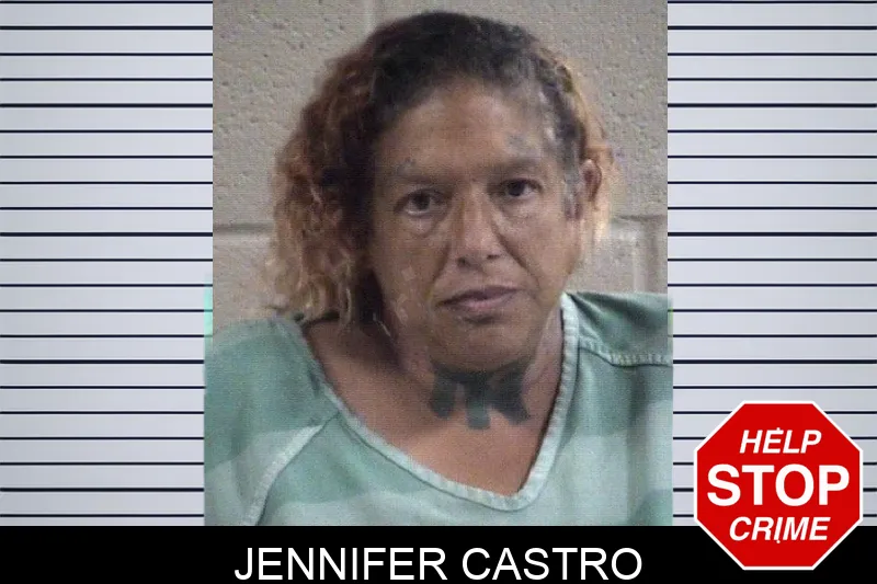 Jennifer Castro Mugshots