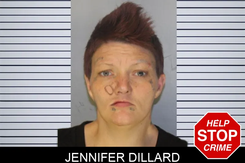Jennifer Dillard mugshot – Hall County , Georgia Jennifer Dillard mugshot