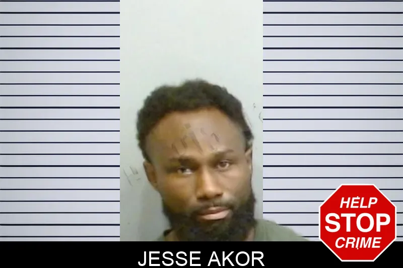 Jesse Akor mugshot – Fulton County , Georgia Jesse Akor mugshot