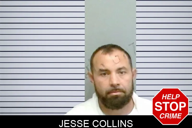 Jesse Collins Mugshots