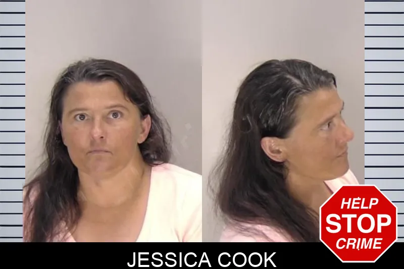 Jessica Cook Mugshots