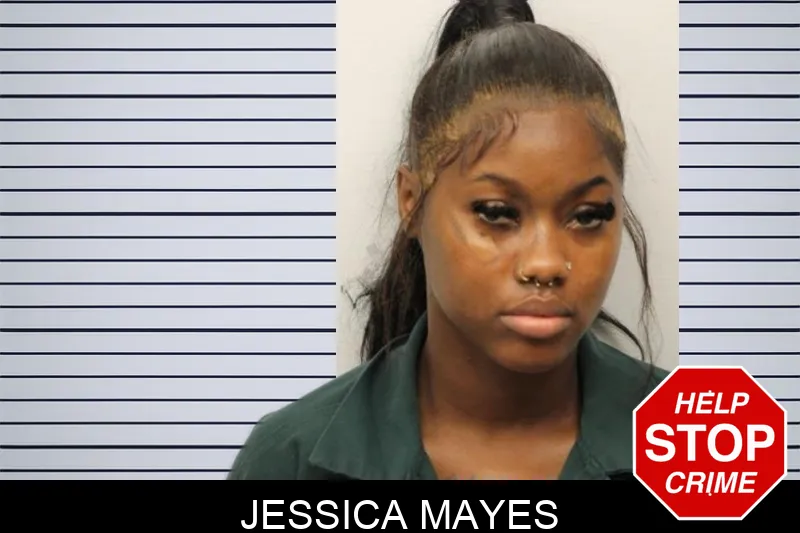 Jessica Mayes mugshot