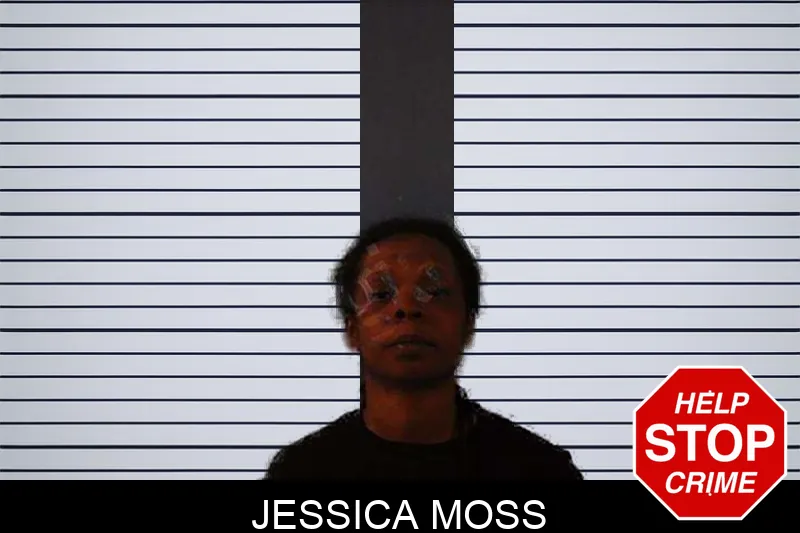 Jessica Moss Mugshots