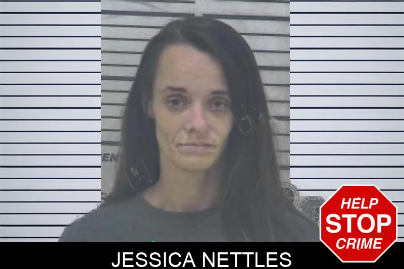 Jessica Nettles Mugshots