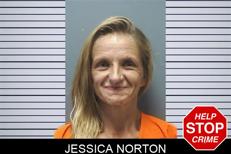 Jessica Norton Mugshots