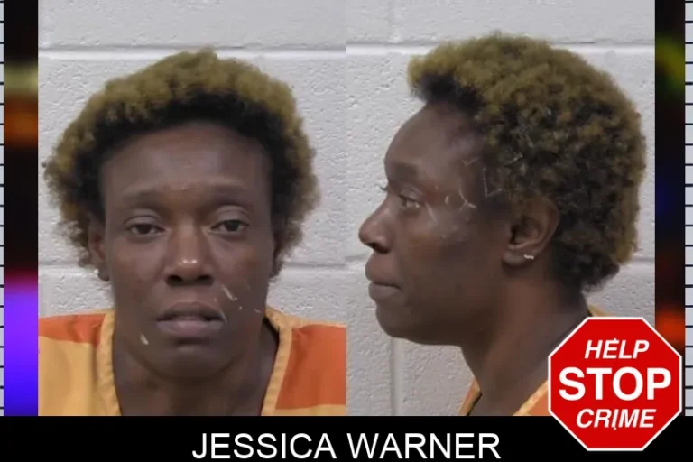 Jessica Warner mugshot – Paulding County , Georgia Jessica Warner