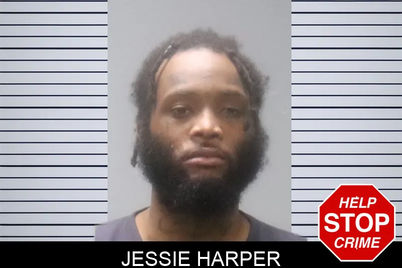 Jessie Harper Mugshots