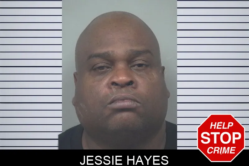 Jessie Hayes Mugshots