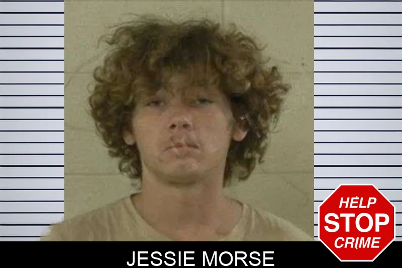 Jessie Morse mugshot