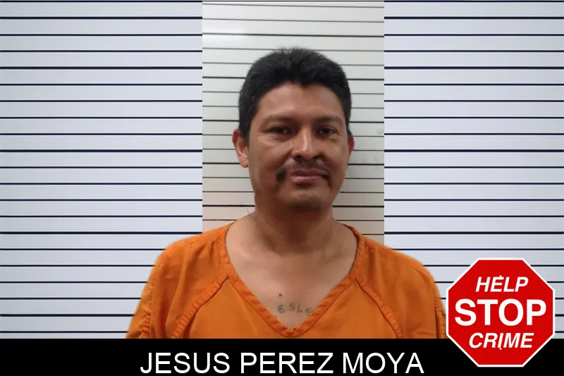 Jesus Perez Moya Mugshots