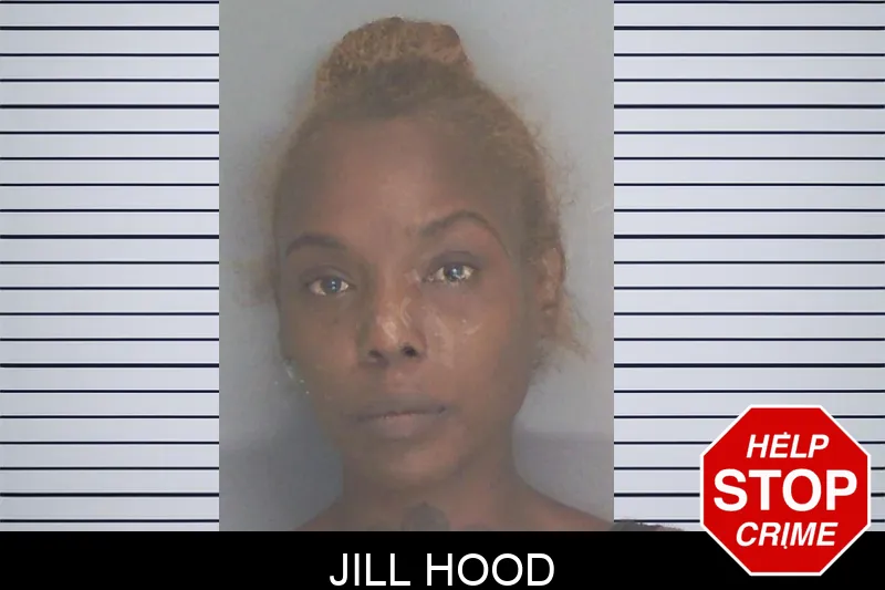 Jill Hood mugshot – Douglas County , Georgia Jill Hood mugshot