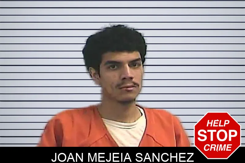 Joan Mejeia Sanchez Mugshots
