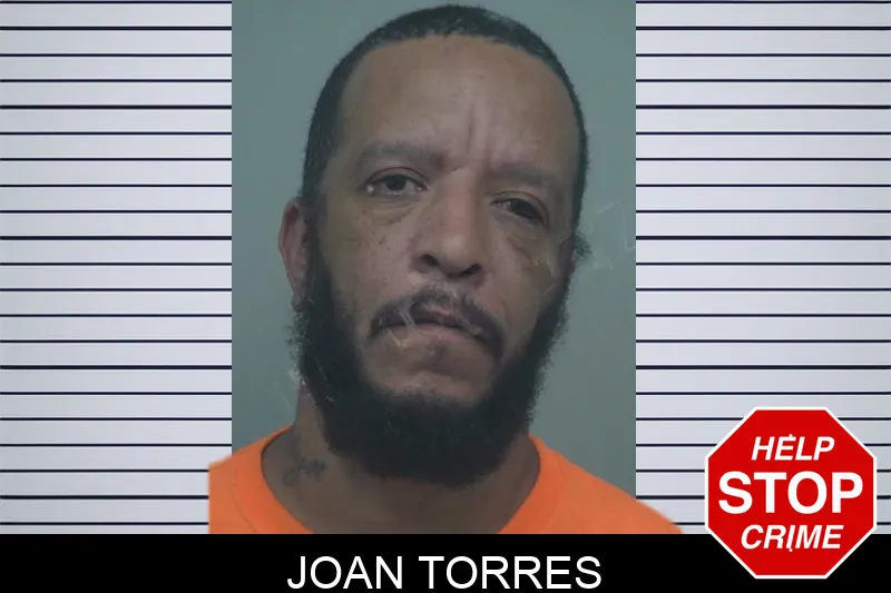 Joan Torres mugshot – Gwinnett County , Georgia Joan Torres mugshot