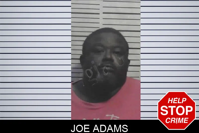 Joe Adams Mugshots