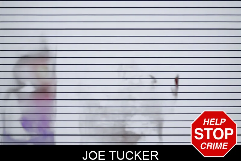 Joe Tucker Mugshots