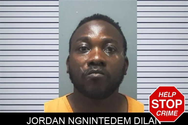 Jordan Ngnintedem Dilan