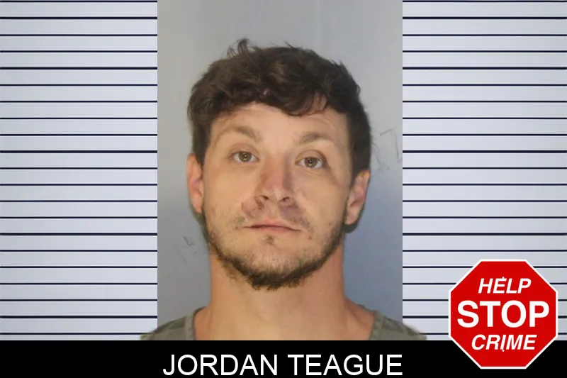 Jordan Teague mugshot – Hall County , Georgia Jordan Teague mugshot