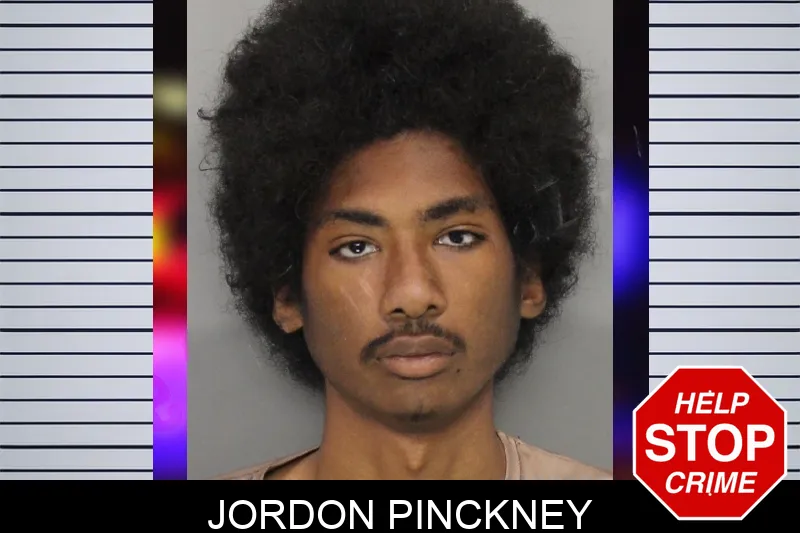 Jordon Pinckney mugshot